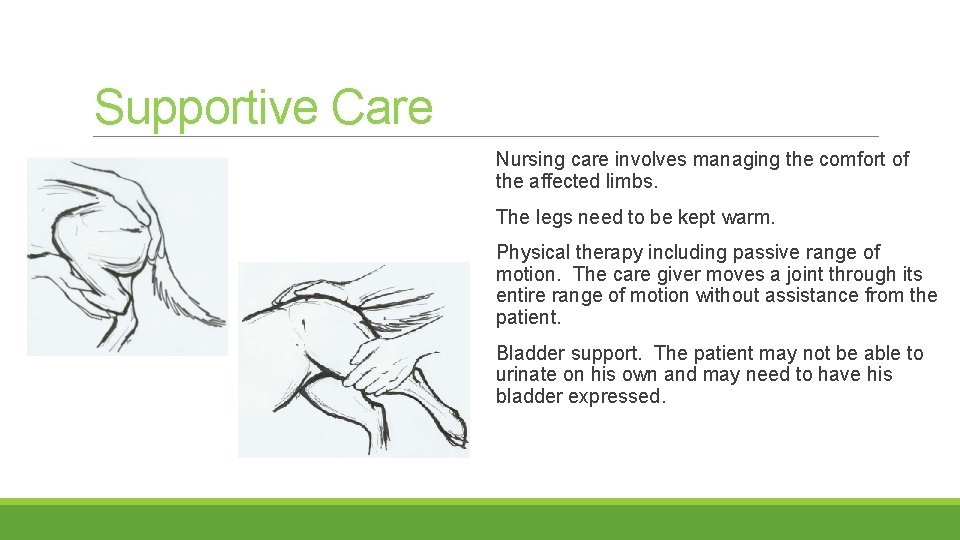 Supportive Care Nursing care involves managing the comfort of the affected limbs. The legs