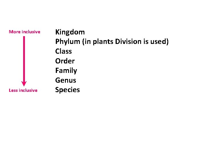 More inclusive Less inclusive Kingdom Phylum (in plants Division is used) Class Order Family