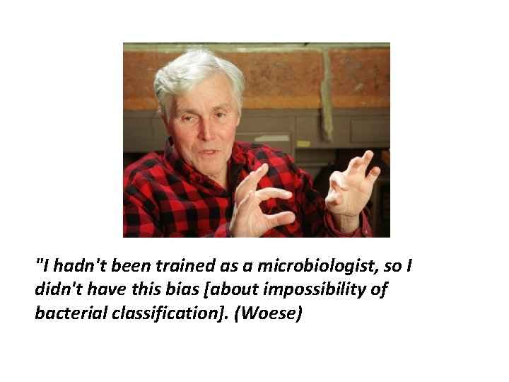 "I hadn't been trained as a microbiologist, so I didn't have this bias [about