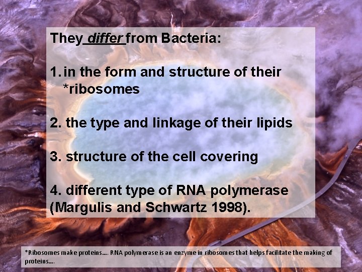 They differ from Bacteria: 1. in the form and structure of their *ribosomes 2.