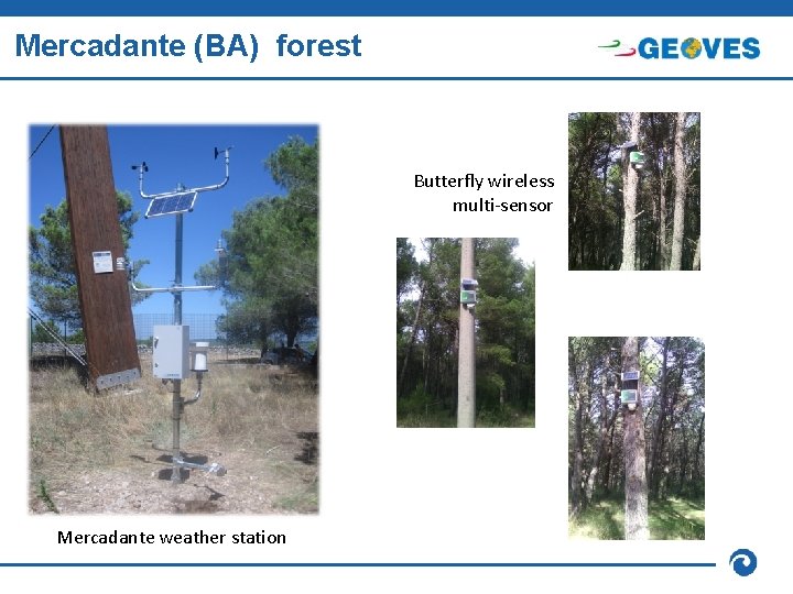 Mercadante (BA) forest Butterfly wireless multi-sensor Mercadante weather station 