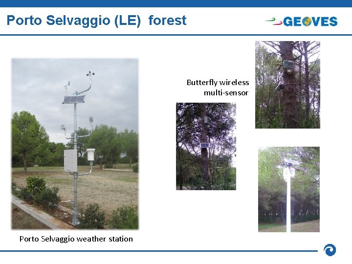 Porto Selvaggio (LE) forest Butterfly wireless multi-sensor Porto Selvaggio weather station 