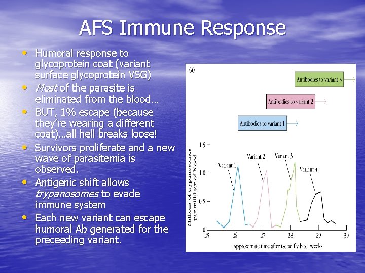 AFS Immune Response • Humoral response to • • • glycoprotein coat (variant surface