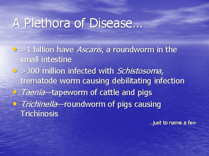 A Plethora of Disease… • >1 billion have Ascaris, a roundworm in the •