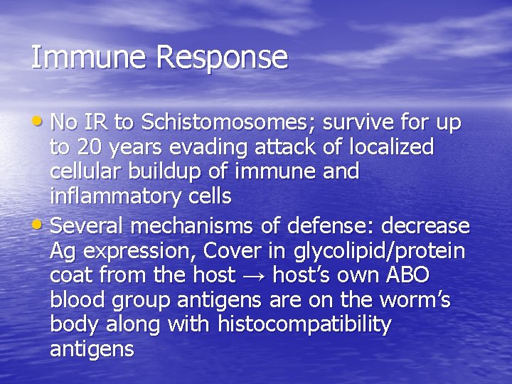 Immune Response • No IR to Schistomosomes; survive for up to 20 years evading