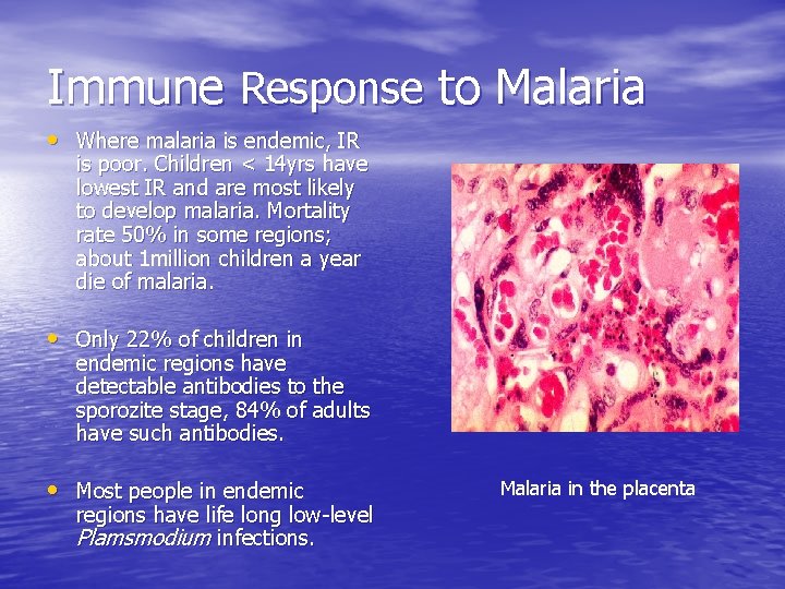 Immune Response to Malaria • Where malaria is endemic, IR is poor. Children <