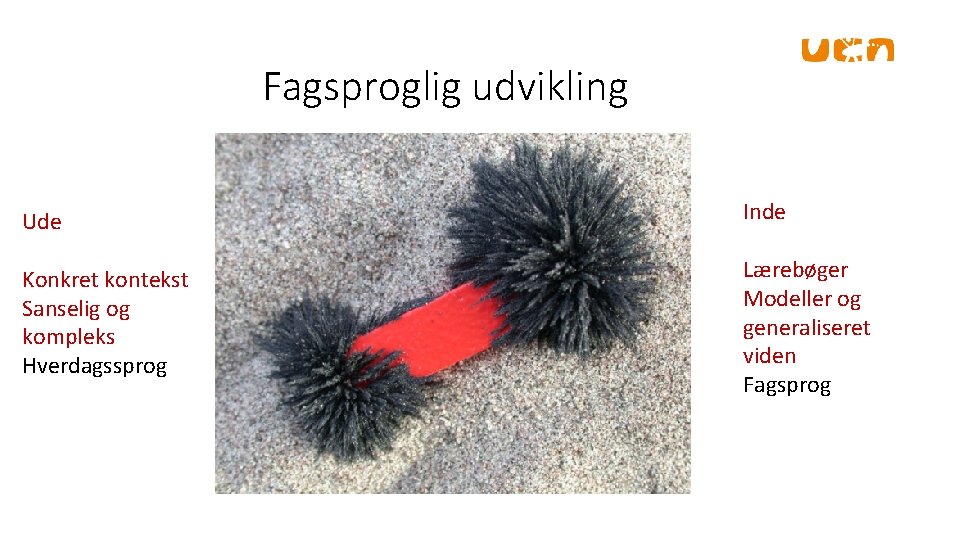 Fagsproglig udvikling Ude Inde Konkret kontekst Sanselig og kompleks Hverdagssprog Lærebøger Modeller og generaliseret