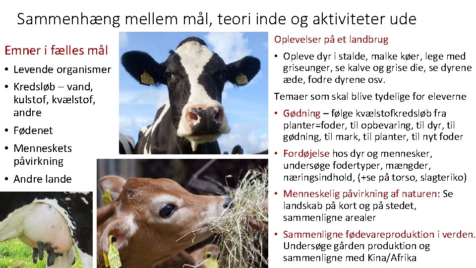 Sammenhæng mellem mål, teori inde og aktiviteter ude Emner i fælles mål • Levende