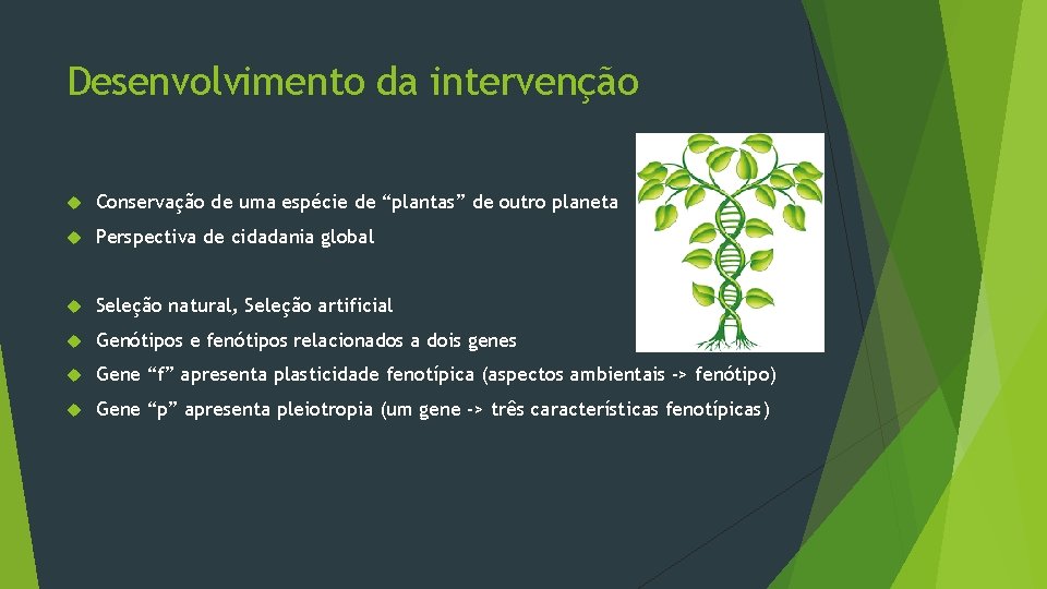 Desenvolvimento da intervenção Conservação de uma espécie de “plantas” de outro planeta Perspectiva de