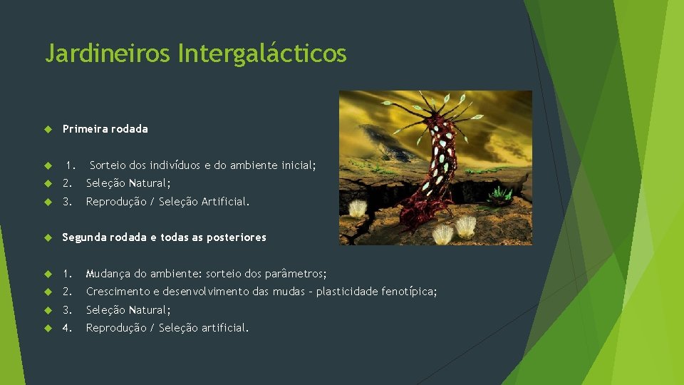 Jardineiros Intergalácticos Primeira rodada 1. Sorteio dos indivíduos e do ambiente inicial; 2. Seleção