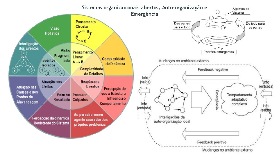 Sistemas organizacionais abertos, Auto-organização e Emergência 