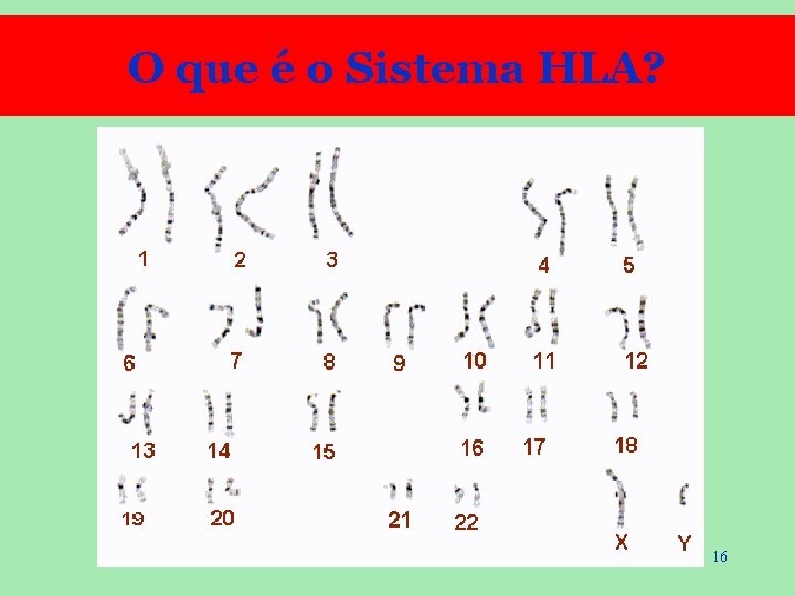 O que é o Sistema HLA? 16 