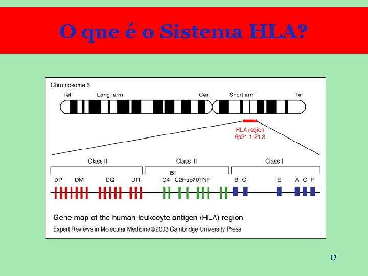 O que é o Sistema HLA? 17 