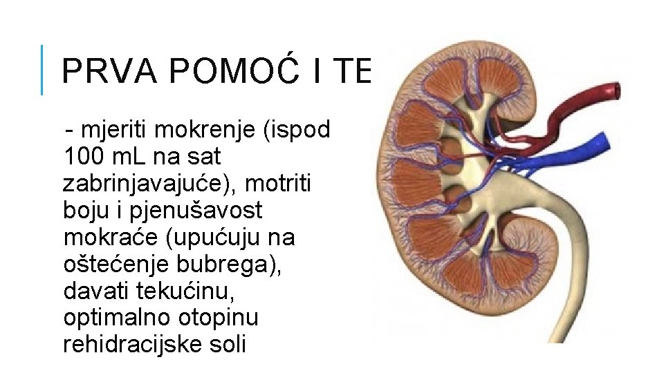 PRVA POMOĆ I TERAPIJA - mjeriti mokrenje (ispod 100 m. L na sat zabrinjavajuće),