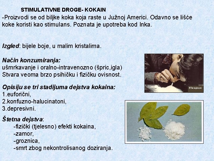 STIMULATIVNE DROGE- KOKAIN -Proizvodi se od biljke koka koja raste u Južnoj Americi. Odavno