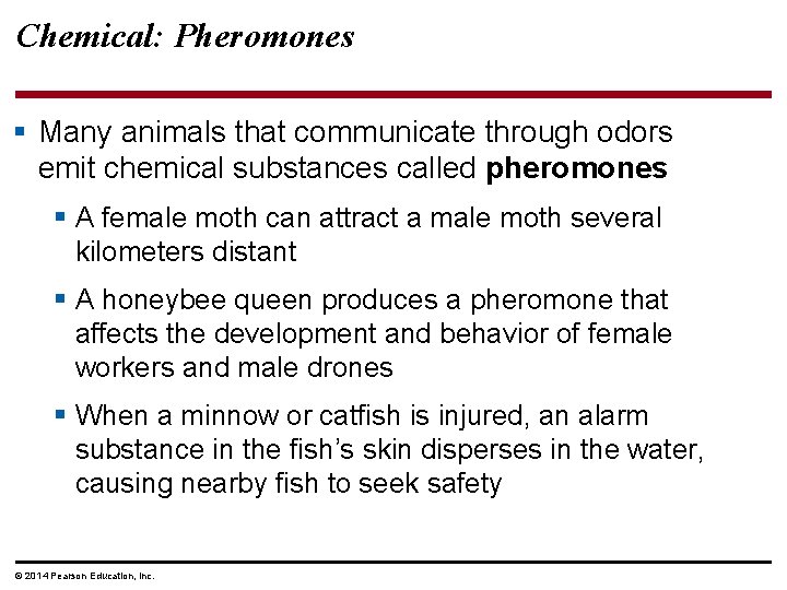 Chemical: Pheromones § Many animals that communicate through odors emit chemical substances called pheromones