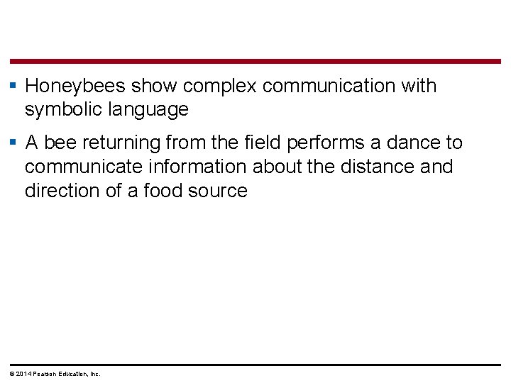§ Honeybees show complex communication with symbolic language § A bee returning from the