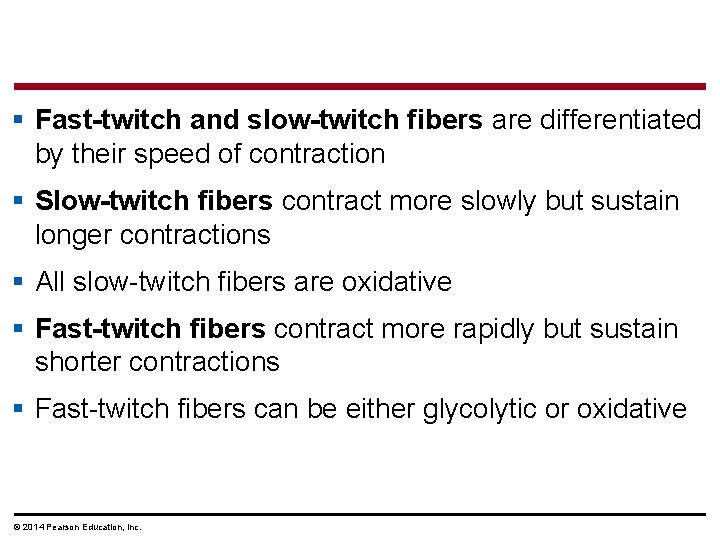 § Fast-twitch and slow-twitch fibers are differentiated by their speed of contraction § Slow-twitch