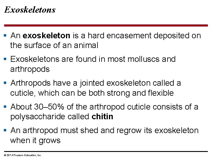 Exoskeletons § An exoskeleton is a hard encasement deposited on the surface of an