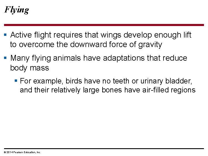 Flying § Active flight requires that wings develop enough lift to overcome the downward