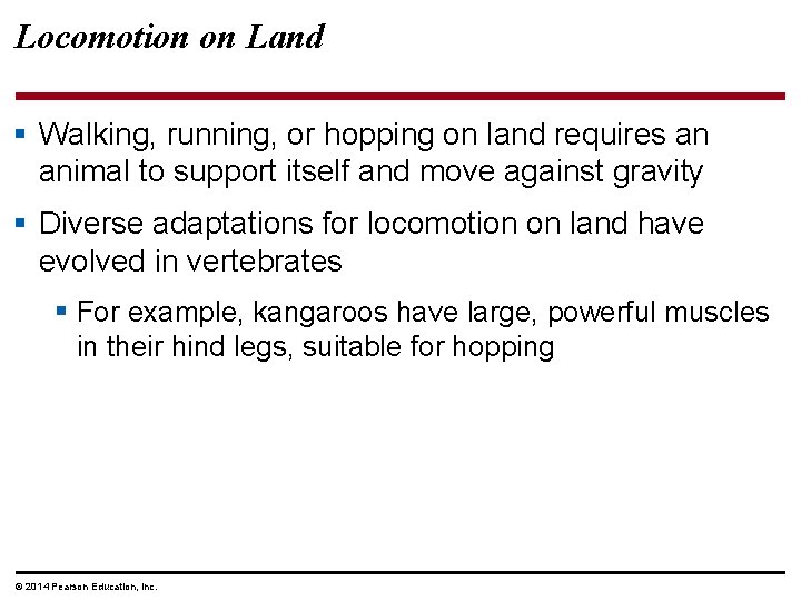 Locomotion on Land § Walking, running, or hopping on land requires an animal to