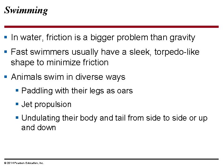 Swimming § In water, friction is a bigger problem than gravity § Fast swimmers