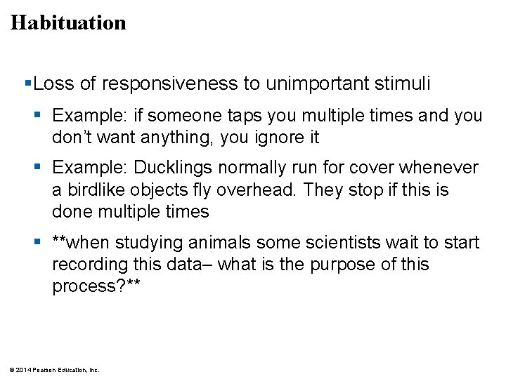 Habituation §Loss of responsiveness to unimportant stimuli § Example: if someone taps you multiple