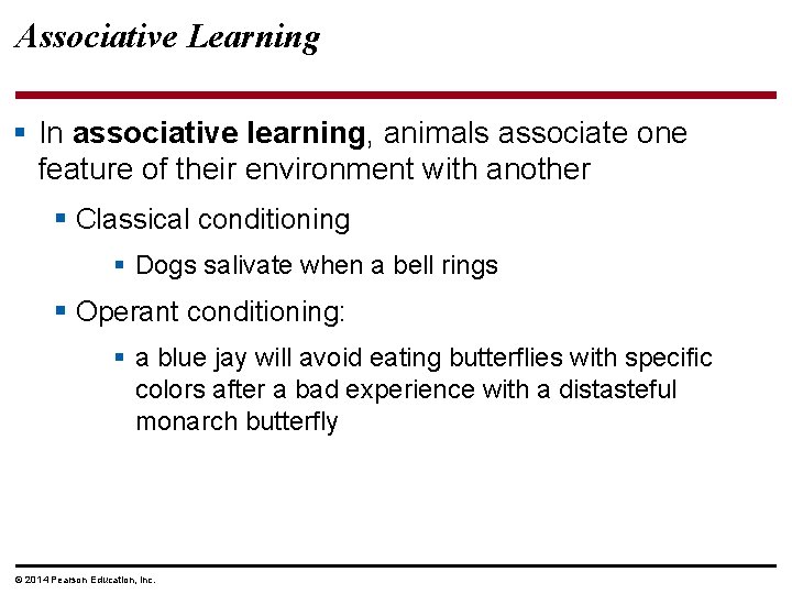 Associative Learning § In associative learning, animals associate one feature of their environment with
