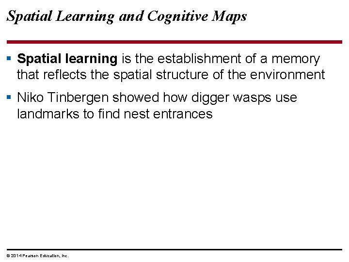 Spatial Learning and Cognitive Maps § Spatial learning is the establishment of a memory