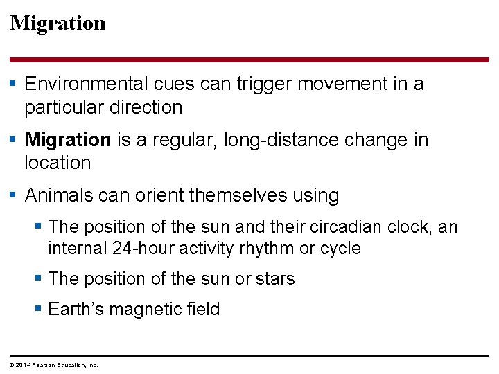 Migration § Environmental cues can trigger movement in a particular direction § Migration is