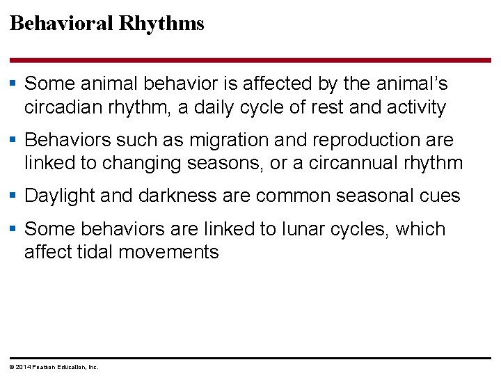 Behavioral Rhythms § Some animal behavior is affected by the animal’s circadian rhythm, a