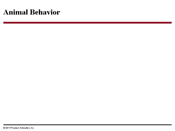 Animal Behavior © 2014 Pearson Education, Inc. 