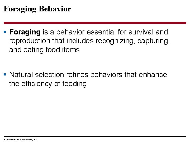 Foraging Behavior § Foraging is a behavior essential for survival and reproduction that includes