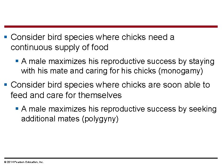 § Consider bird species where chicks need a continuous supply of food § A