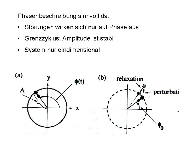 Phasenbeschreibung sinnvoll da: • Störungen wirken sich nur auf Phase aus • Grenzzyklus: Amplitude