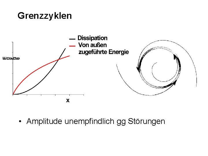 Grenzzyklen • Amplitude unempfindlich gg Störungen 