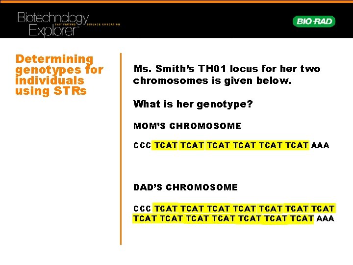 Determining genotypes for individuals using STRs Ms. Smith’s TH 01 locus for her two