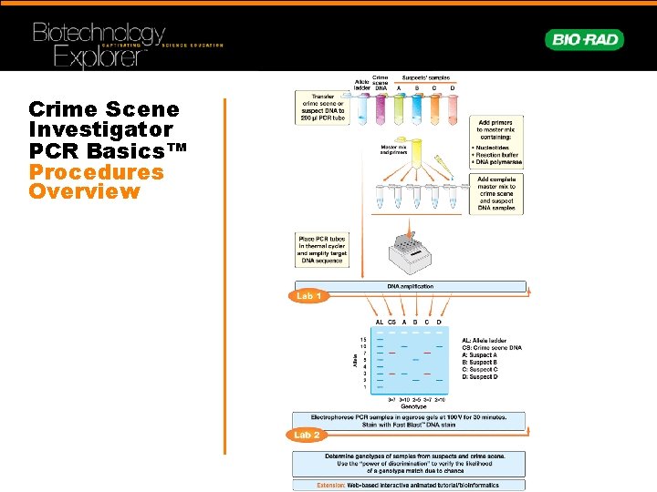 Crime Scene Investigator PCR Basics™ Procedures Overview 