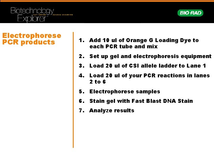 Electrophorese PCR products 1. Add 10 ul of Orange G Loading Dye to each