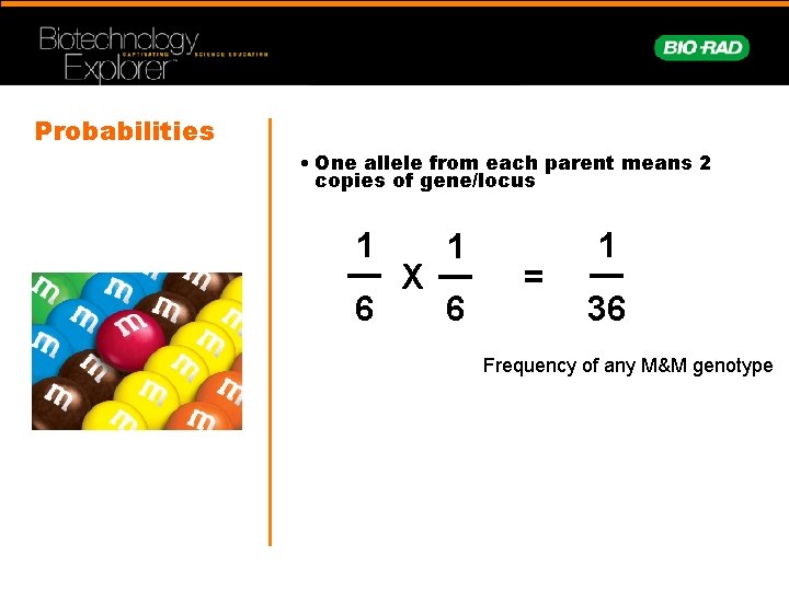 Probabilities • One allele from each parent means 2 copies of gene/locus 1 6