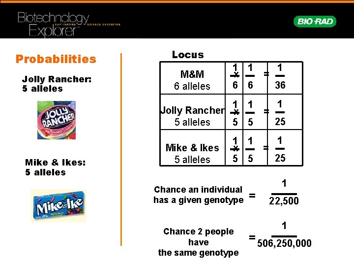 Probabilities Jolly Rancher: 5 alleles Mike & Ikes: 5 alleles Locus M&M 6 alleles