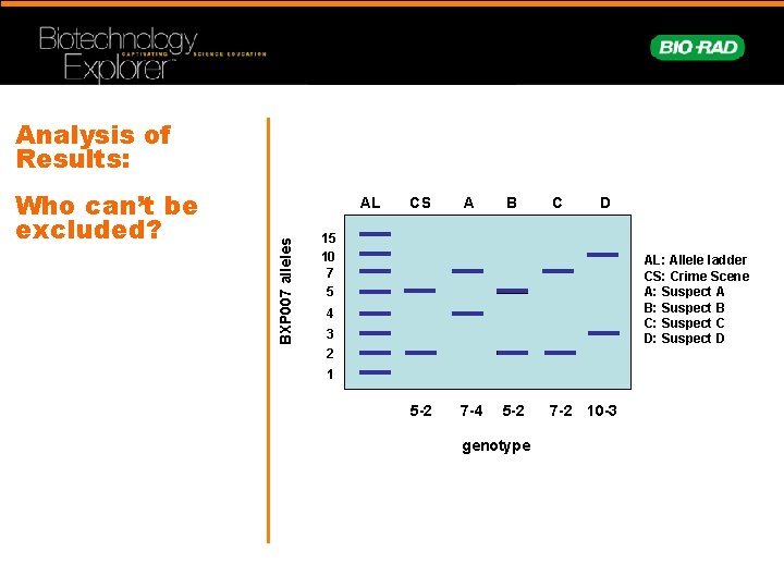 Analysis of Results: AL BXP 007 alleles Who can’t be excluded? CS A B