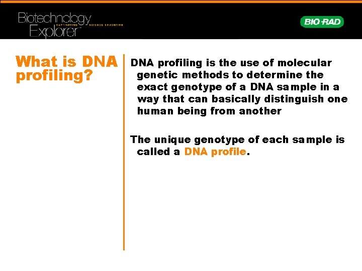 What is DNA profiling? DNA profiling is the use of molecular genetic methods to