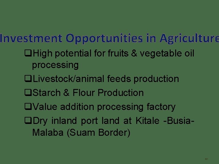 Investment Opportunities in Agriculture q. High potential for fruits & vegetable oil processing q.