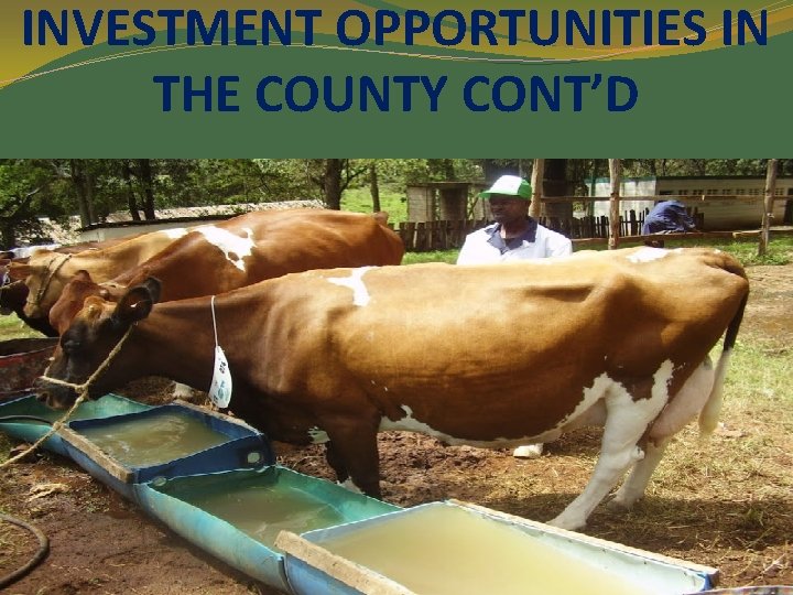INVESTMENT OPPORTUNITIES IN THE COUNTY CONT’D 