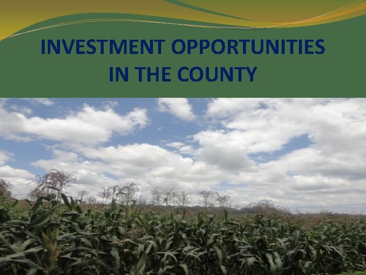 INVESTMENT OPPORTUNITIES IN THE COUNTY 