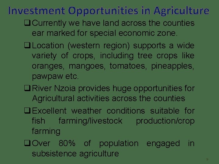 Investment Opportunities in Agriculture q Currently we have land across the counties ear marked