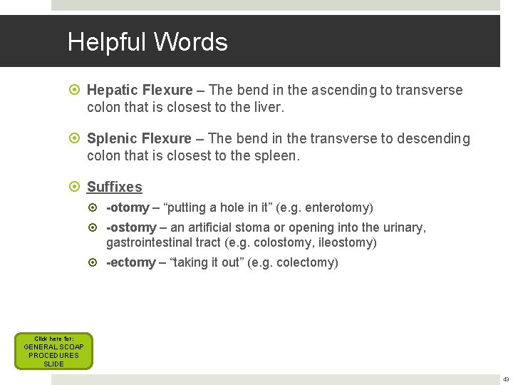 Helpful Words Hepatic Flexure – The bend in the ascending to transverse colon that