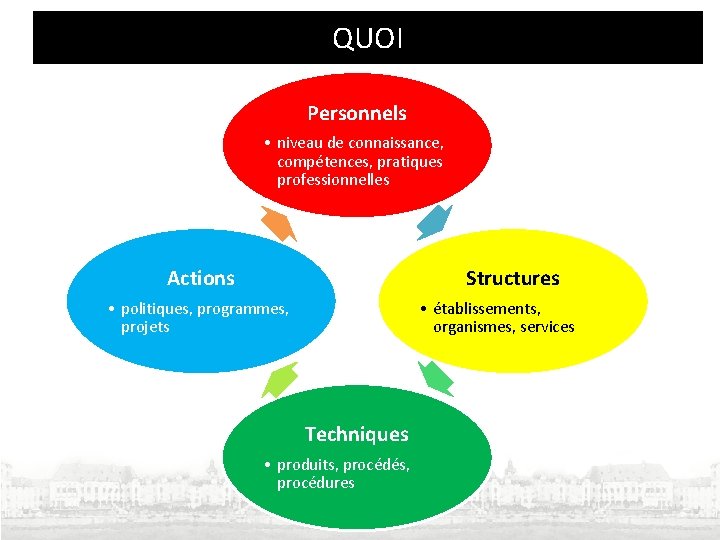 QUOI Personnels • niveau de connaissance, compétences, pratiques professionnelles Actions Structures • politiques, programmes, QUOI Personnels • niveau de connaissance, compétences, pratiques professionnelles Actions Structures • politiques, programmes,