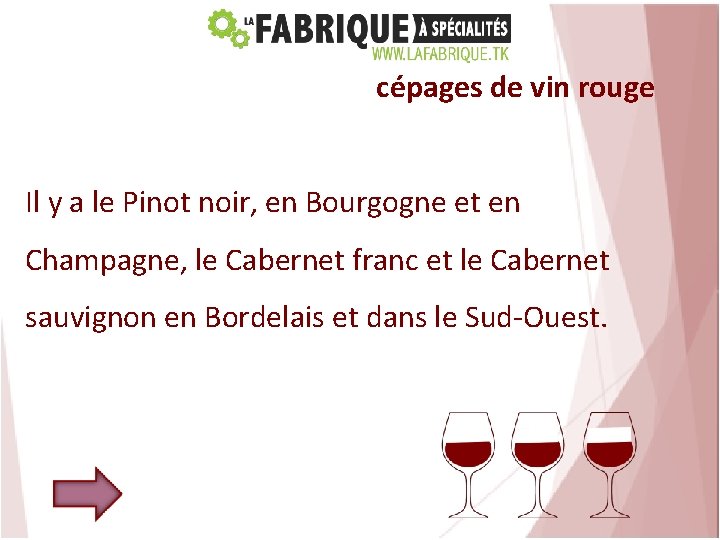 cépages de vin rouge Il y a le Pinot noir, en Bourgogne et en